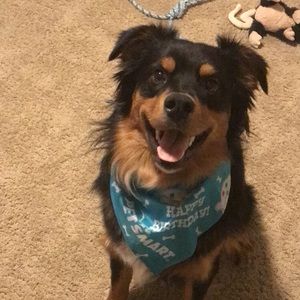 Meet your Posher, Kelsey